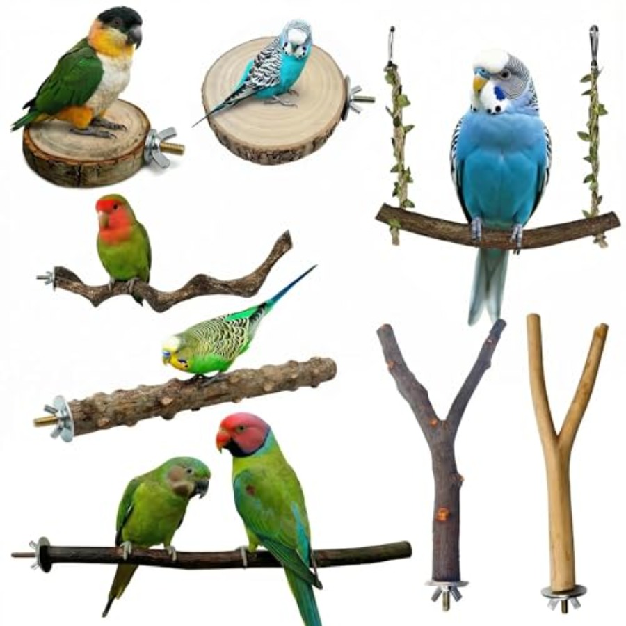 Health & Wellness Quotes Inspirational - 8PCS natural wood bird perches for