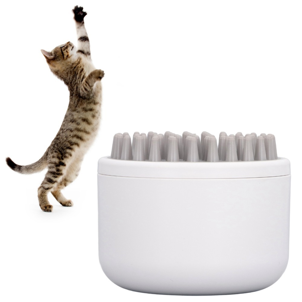 Portable Handheld Cat Massage  - Scalp Massager Electric recension och pris